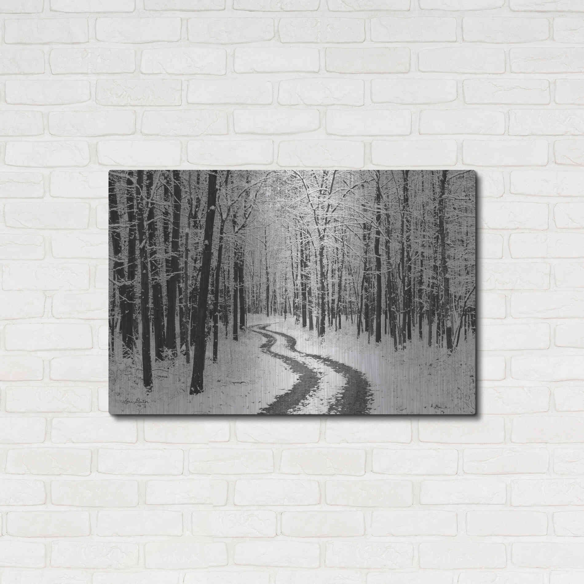 Luxe Metal Art 'Snowy Road' by Lori Deiter, Metal Wall Art,36x24