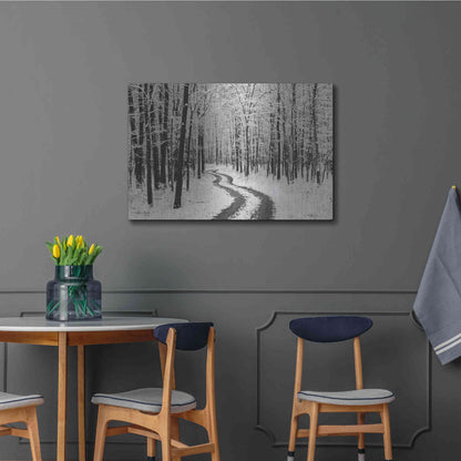 Luxe Metal Art 'Snowy Road' by Lori Deiter, Metal Wall Art,36x24