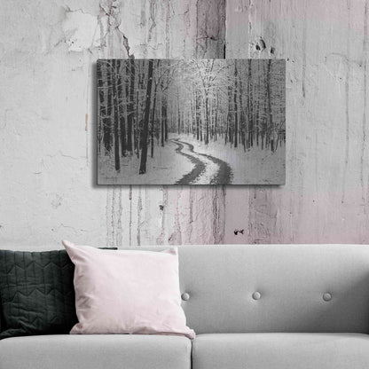 Luxe Metal Art 'Snowy Road' by Lori Deiter, Metal Wall Art,36x24