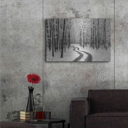 Luxe Metal Art 'Snowy Road' by Lori Deiter, Metal Wall Art,36x24