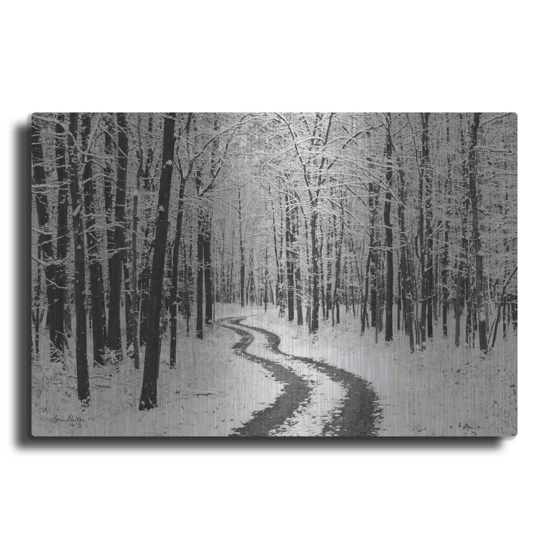 Luxe Metal Art 'Snowy Road' by Lori Deiter, Metal Wall Art