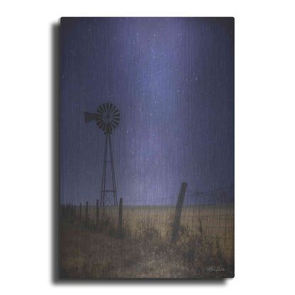 Luxe Metal Art 'Starlit Night' by Lori Deiter, Metal Wall Art