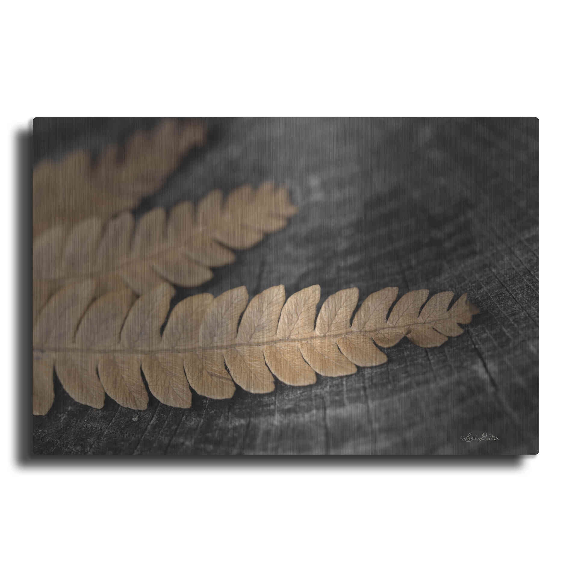 Luxe Metal Art 'Gold on Black V' by Lori Deiter, Metal Wall Art