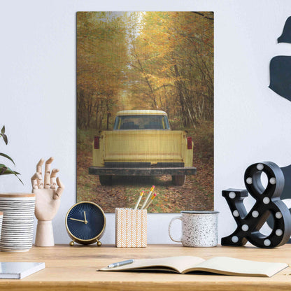 Luxe Metal Art 'The Season of Color' by Lori Deiter, Metal Wall Art,12x16