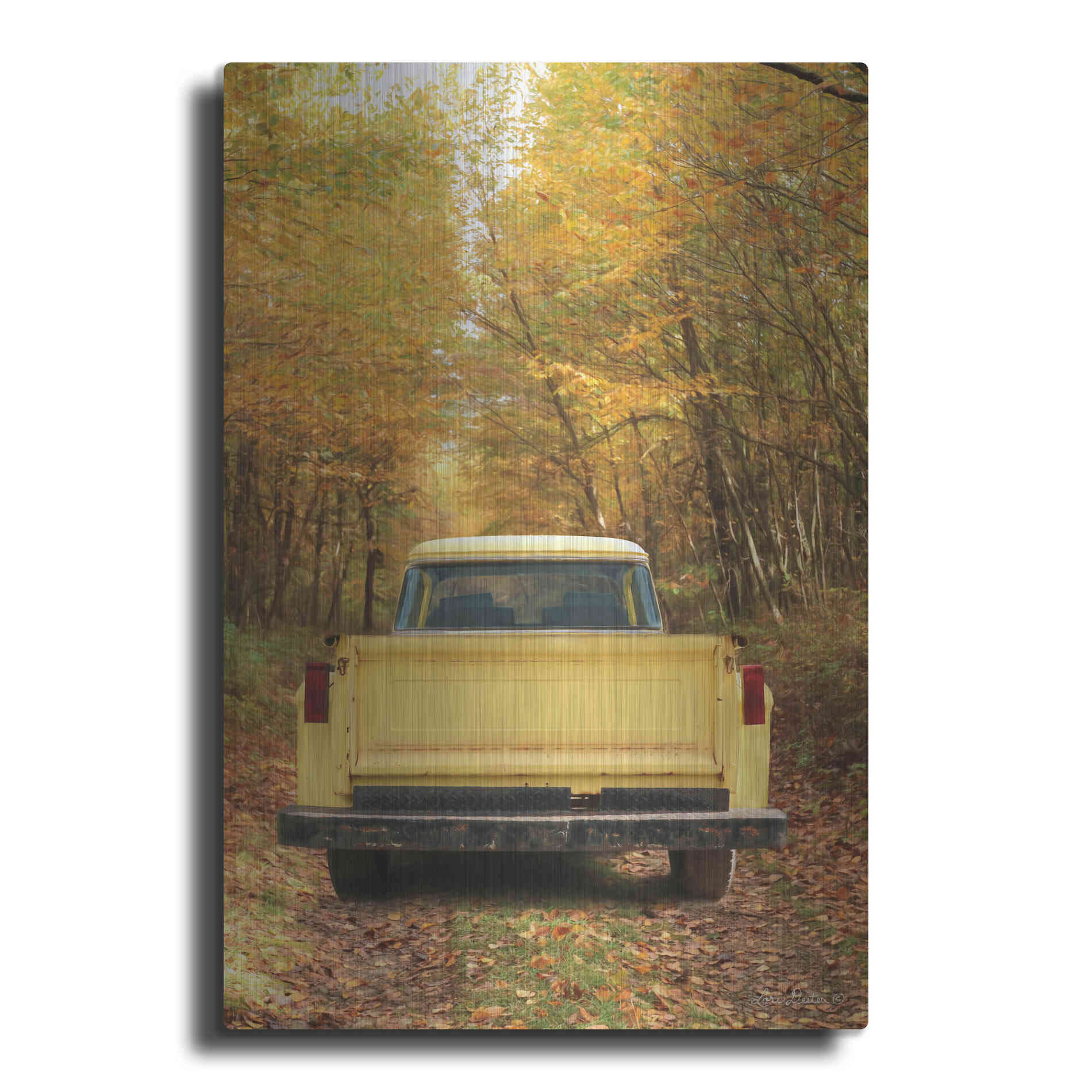 Luxe Metal Art 'The Season of Color' by Lori Deiter, Metal Wall Art