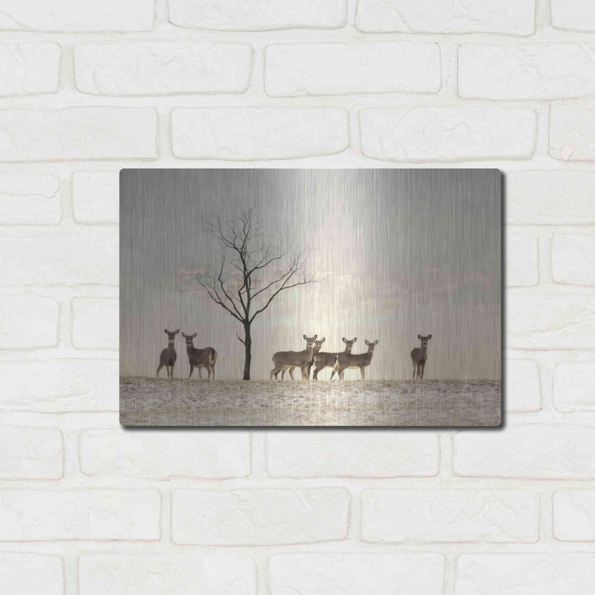 Luxe Metal Art 'Doe a Deer' by Lori Deiter, Metal Wall Art,16x12