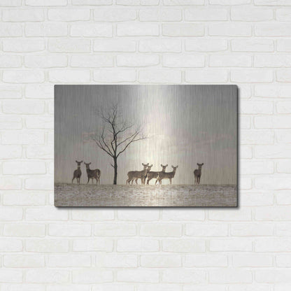 Luxe Metal Art 'Doe a Deer' by Lori Deiter, Metal Wall Art,36x24