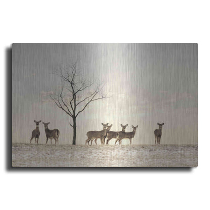 Luxe Metal Art 'Doe a Deer' by Lori Deiter, Metal Wall Art