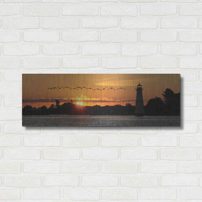 Luxe Metal Art 'Sunset Flight' by Lori Deiter, Metal Wall Art,36x12