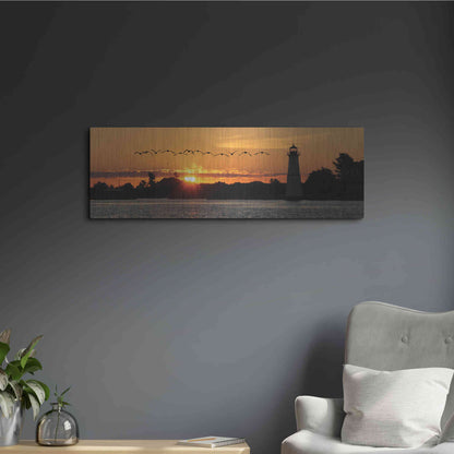 Luxe Metal Art 'Sunset Flight' by Lori Deiter, Metal Wall Art,36x12