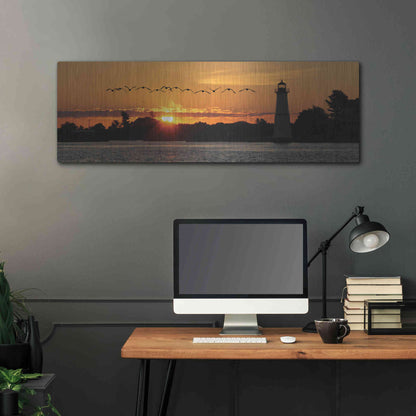 Luxe Metal Art 'Sunset Flight' by Lori Deiter, Metal Wall Art,48x16