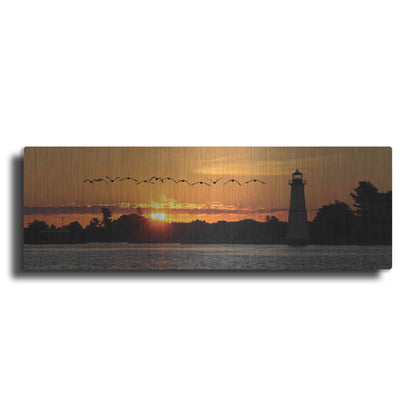 Luxe Metal Art 'Sunset Flight' by Lori Deiter, Metal Wall Art