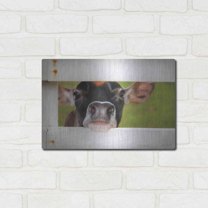 Luxe Metal Art 'Cow at Fence' by Lori Deiter, Metal Wall Art,16x12