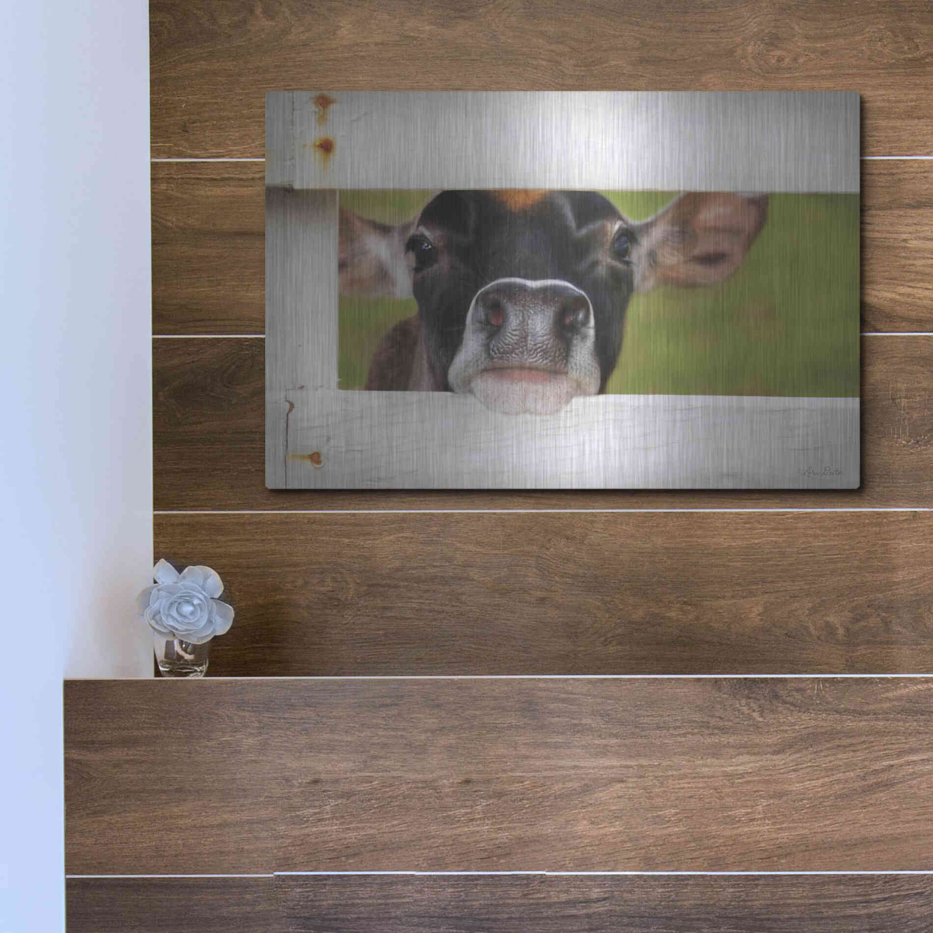 Luxe Metal Art 'Cow at Fence' by Lori Deiter, Metal Wall Art,16x12