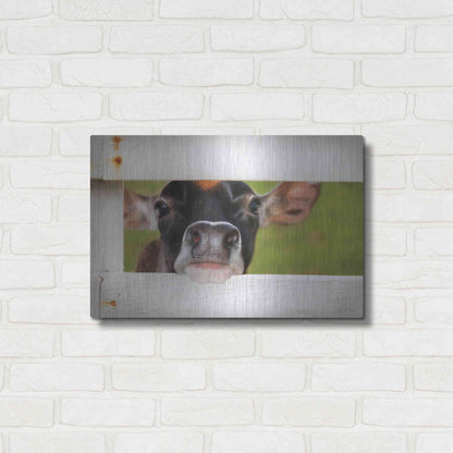 Luxe Metal Art 'Cow at Fence' by Lori Deiter, Metal Wall Art,24x16