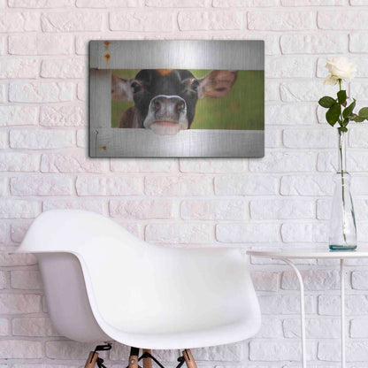 Luxe Metal Art 'Cow at Fence' by Lori Deiter, Metal Wall Art,24x16