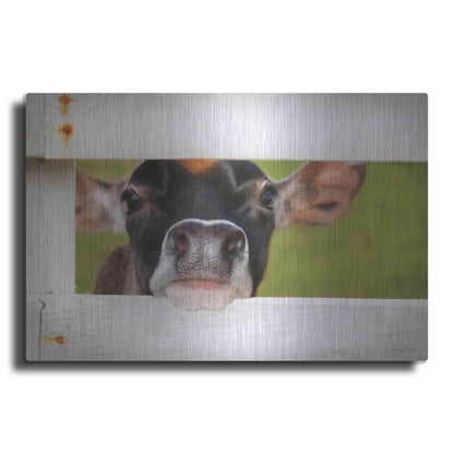 Luxe Metal Art 'Cow at Fence' by Lori Deiter, Metal Wall Art