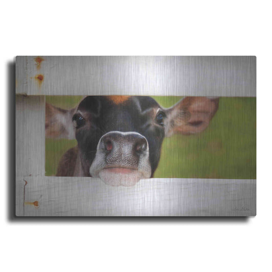 Luxe Metal Art 'Cow at Fence' by Lori Deiter, Metal Wall Art