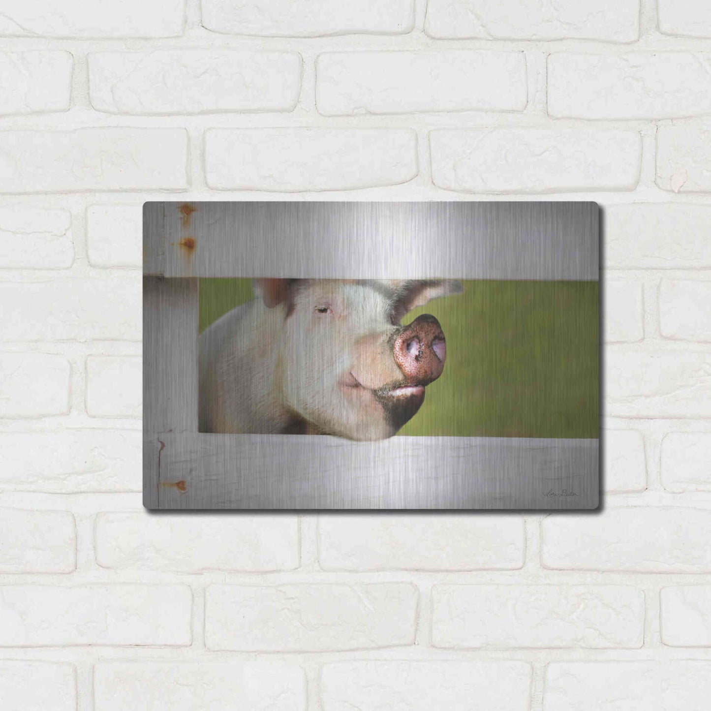 Luxe Metal Art 'Pig at Fence' by Lori Deiter, Metal Wall Art,16x12