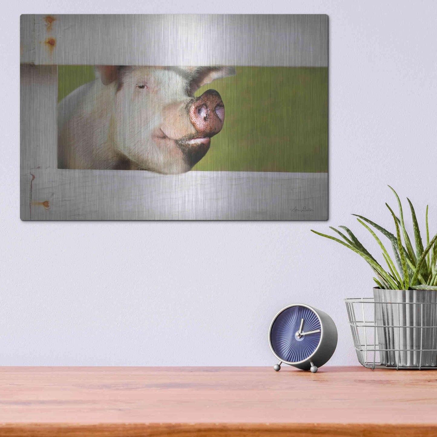 Luxe Metal Art 'Pig at Fence' by Lori Deiter, Metal Wall Art,16x12