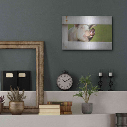 Luxe Metal Art 'Pig at Fence' by Lori Deiter, Metal Wall Art,16x12