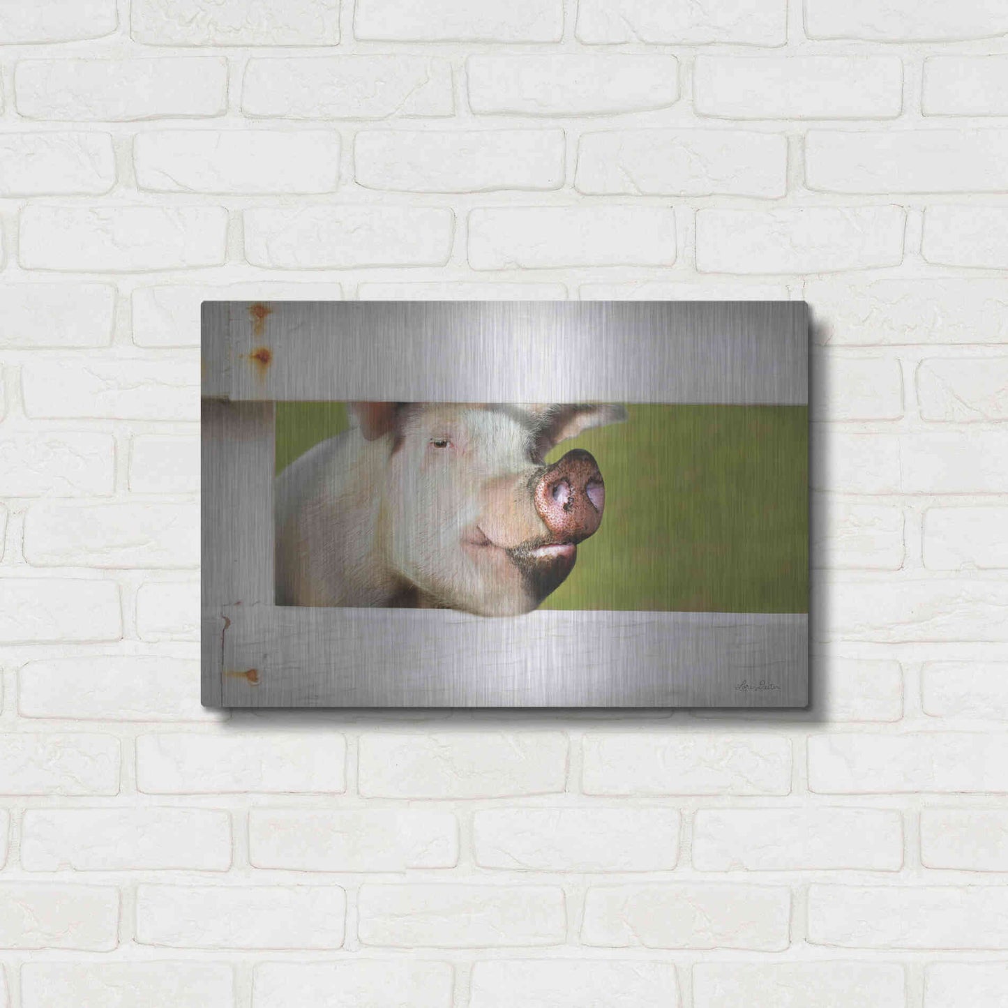 Luxe Metal Art 'Pig at Fence' by Lori Deiter, Metal Wall Art,24x16