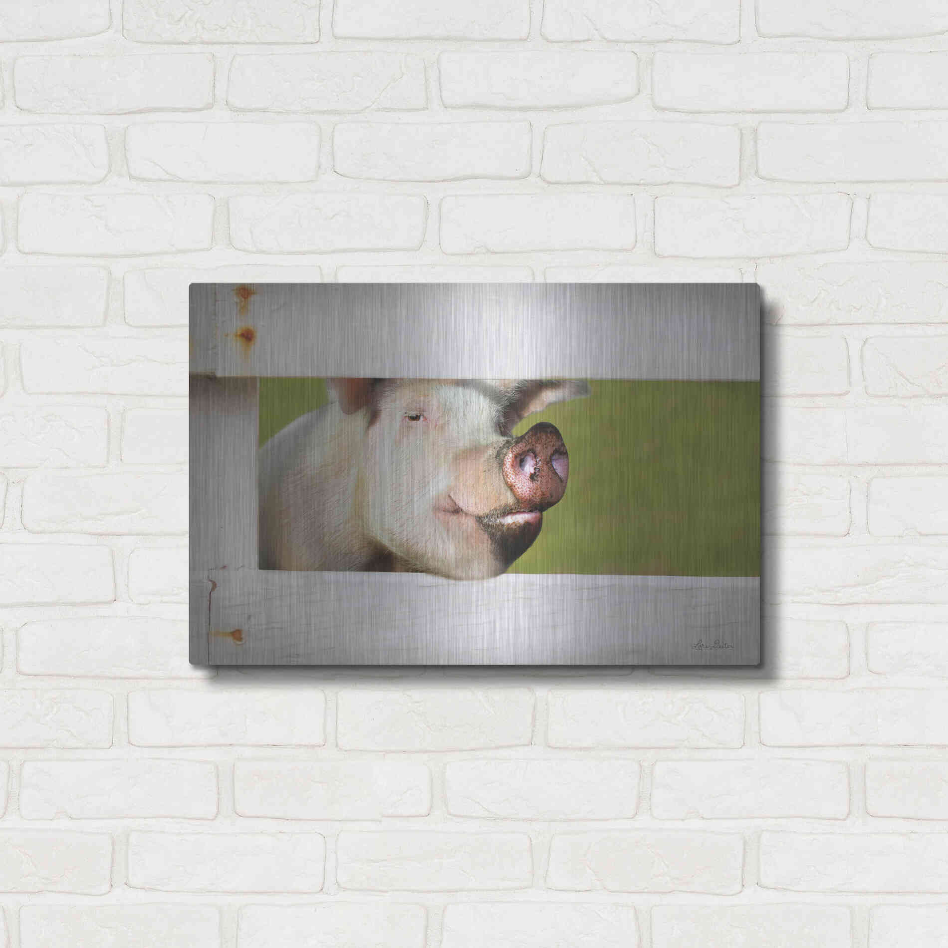 Luxe Metal Art 'Pig at Fence' by Lori Deiter, Metal Wall Art,24x16