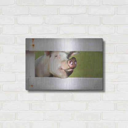 Luxe Metal Art 'Pig at Fence' by Lori Deiter, Metal Wall Art,24x16