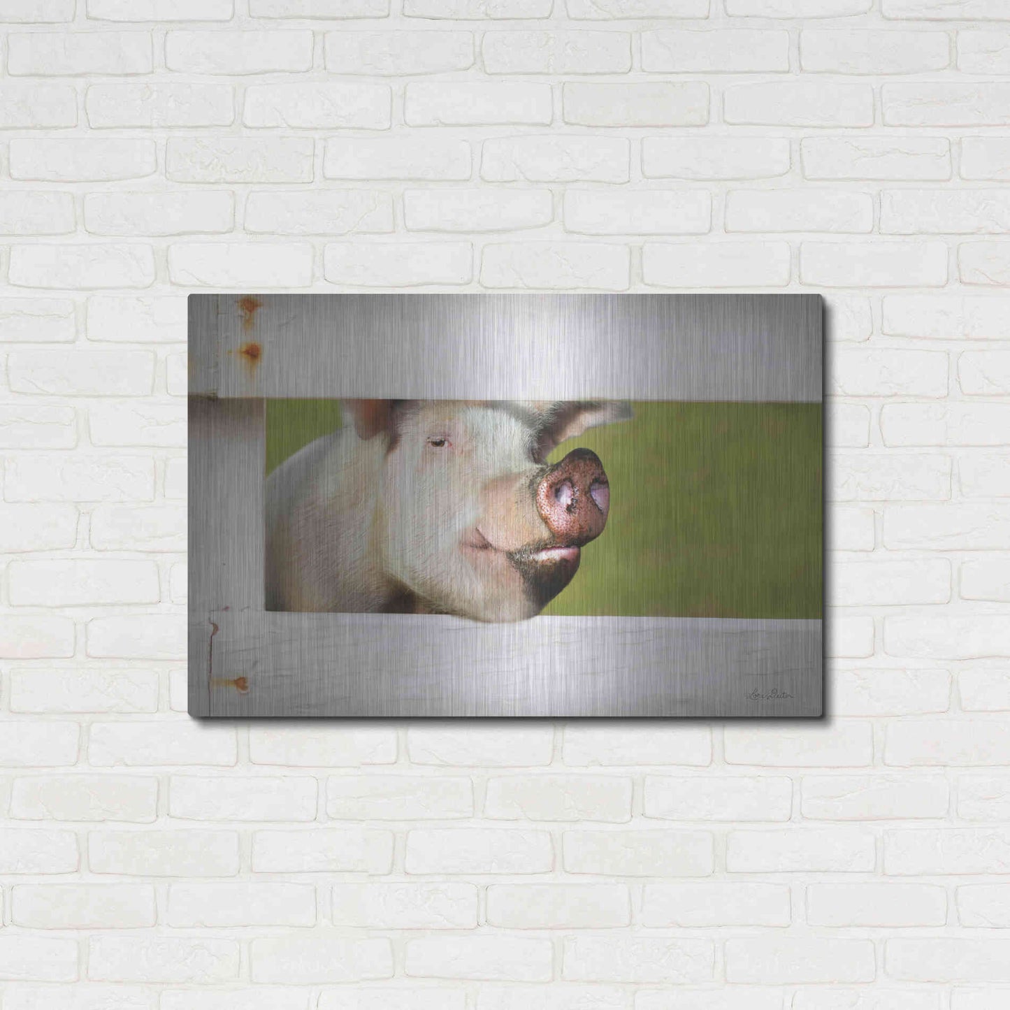 Luxe Metal Art 'Pig at Fence' by Lori Deiter, Metal Wall Art,36x24