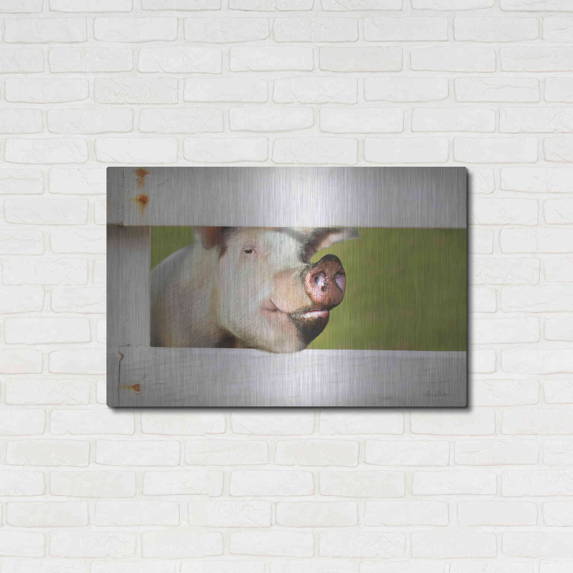 Luxe Metal Art 'Pig at Fence' by Lori Deiter, Metal Wall Art,36x24