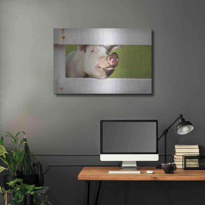 Luxe Metal Art 'Pig at Fence' by Lori Deiter, Metal Wall Art,36x24
