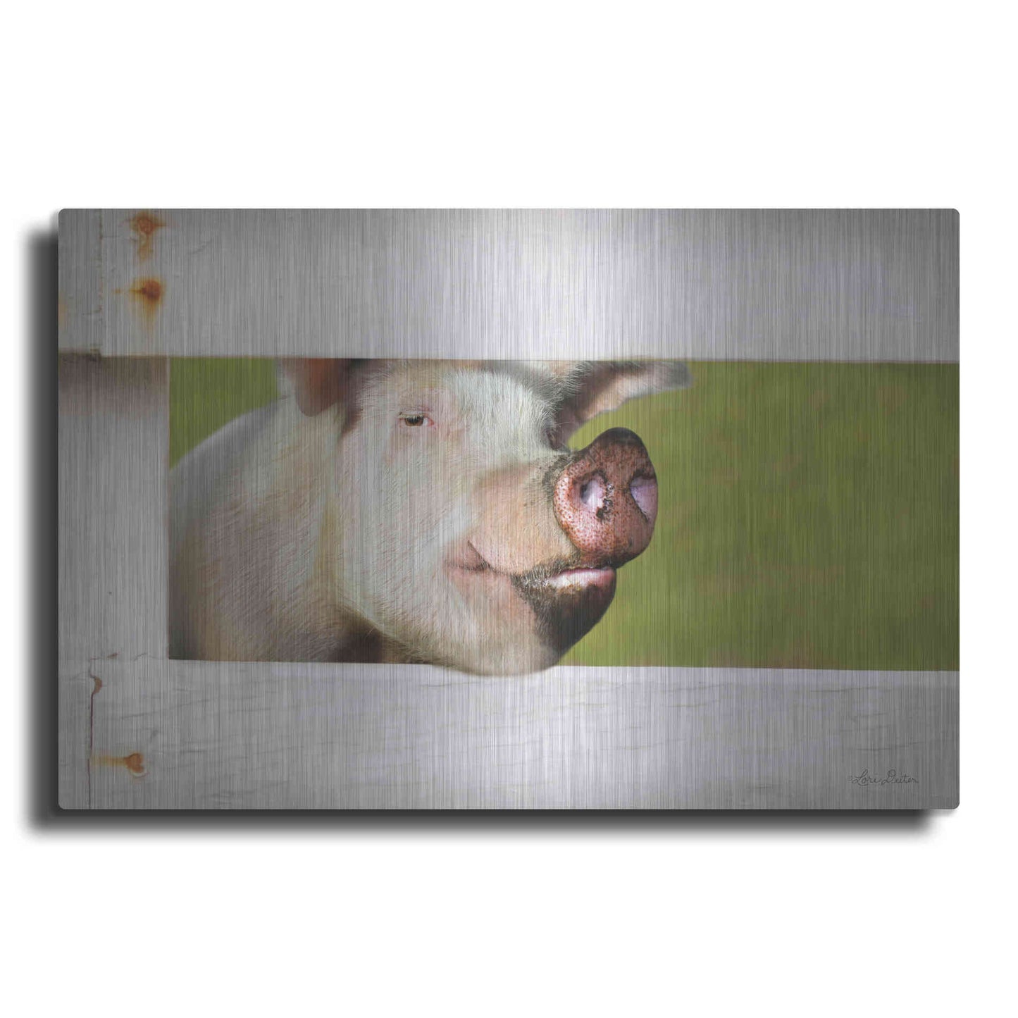 Luxe Metal Art 'Pig at Fence' by Lori Deiter, Metal Wall Art