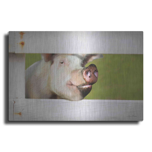 Luxe Metal Art 'Pig at Fence' by Lori Deiter, Metal Wall Art