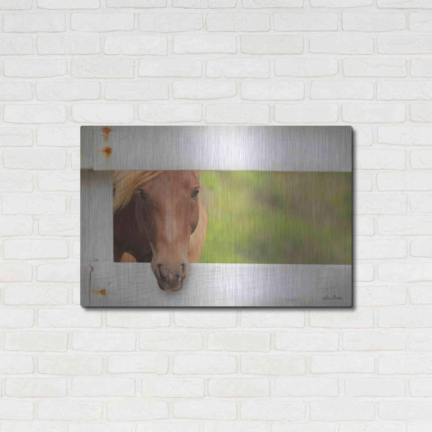 Luxe Metal Art 'Horse at Fence' by Lori Deiter, Metal Wall Art,36x24