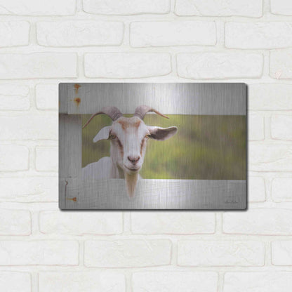 Luxe Metal Art 'Goat at Fence' by Lori Deiter, Metal Wall Art,16x12