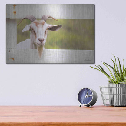 Luxe Metal Art 'Goat at Fence' by Lori Deiter, Metal Wall Art,16x12