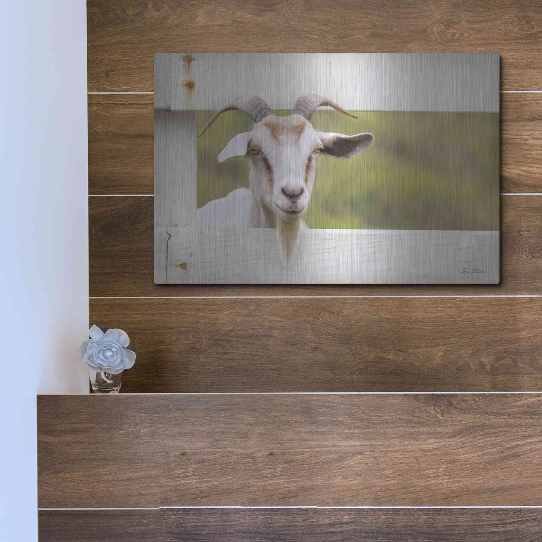 Luxe Metal Art 'Goat at Fence' by Lori Deiter, Metal Wall Art,16x12