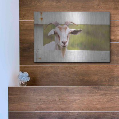 Luxe Metal Art 'Goat at Fence' by Lori Deiter, Metal Wall Art,16x12