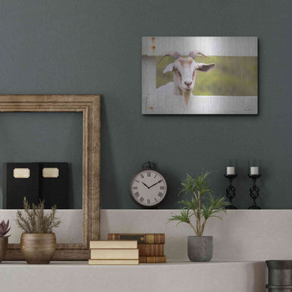 Luxe Metal Art 'Goat at Fence' by Lori Deiter, Metal Wall Art,16x12