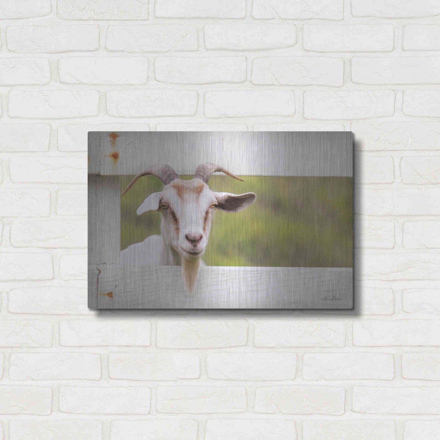 Luxe Metal Art 'Goat at Fence' by Lori Deiter, Metal Wall Art,24x16