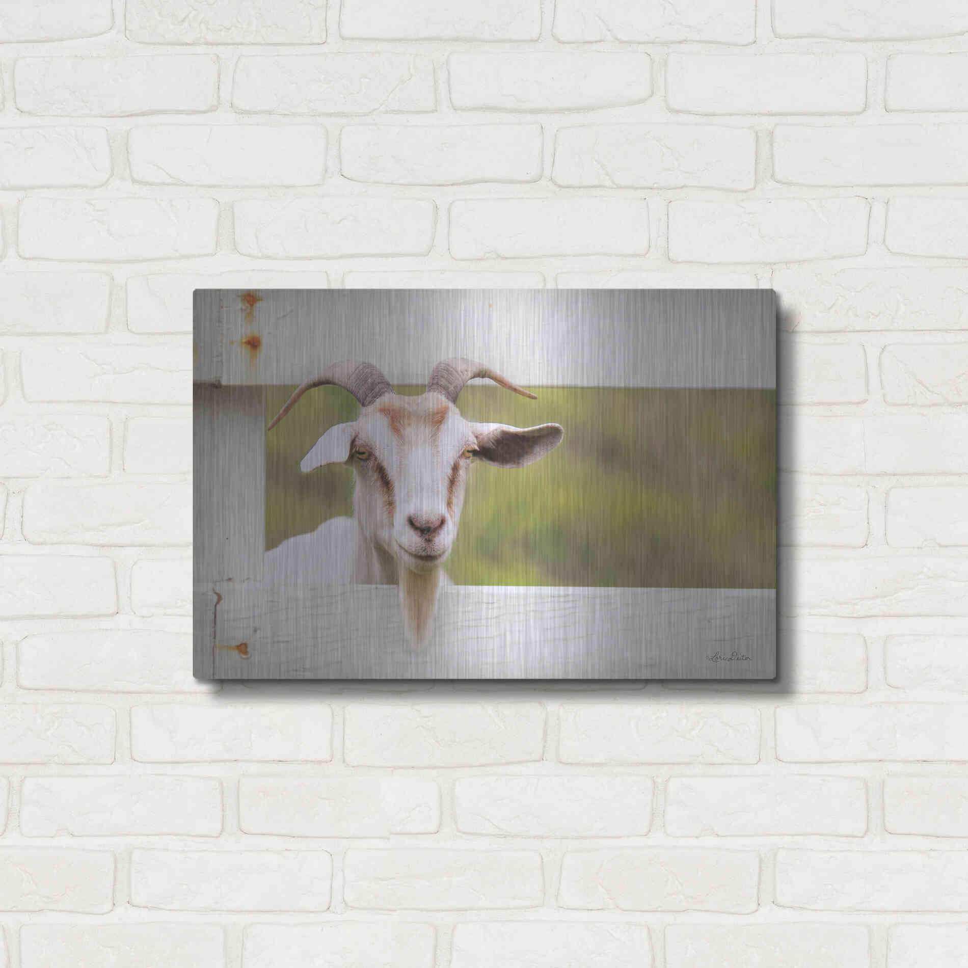 Luxe Metal Art 'Goat at Fence' by Lori Deiter, Metal Wall Art,24x16
