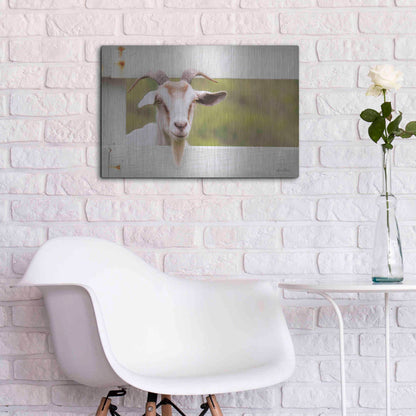 Luxe Metal Art 'Goat at Fence' by Lori Deiter, Metal Wall Art,24x16