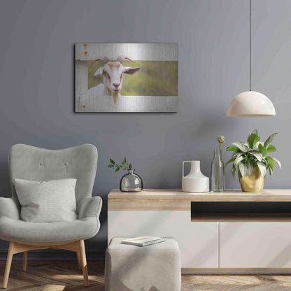 Luxe Metal Art 'Goat at Fence' by Lori Deiter, Metal Wall Art,24x16