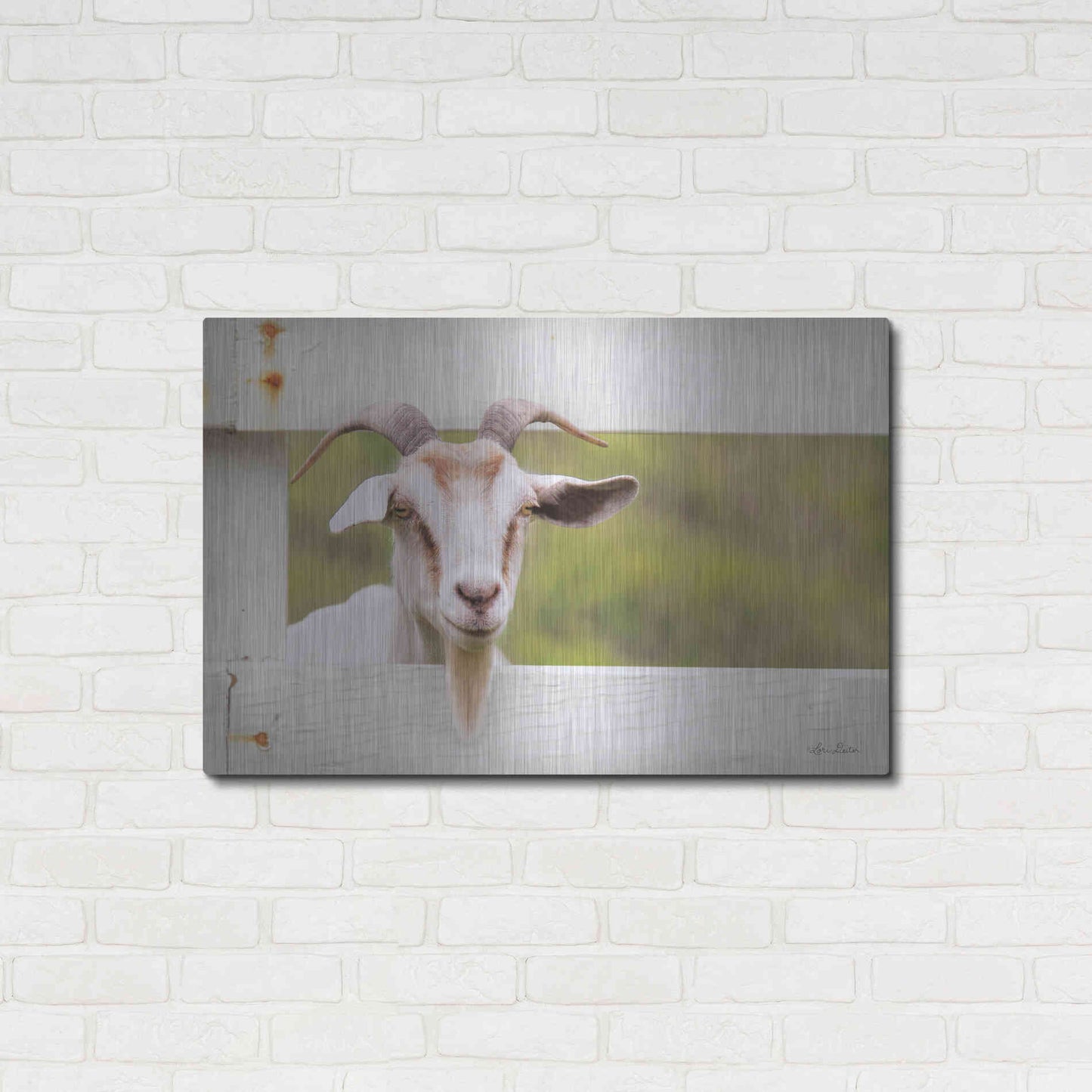 Luxe Metal Art 'Goat at Fence' by Lori Deiter, Metal Wall Art,36x24