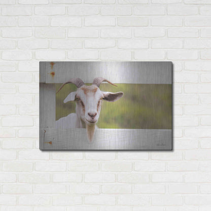 Luxe Metal Art 'Goat at Fence' by Lori Deiter, Metal Wall Art,36x24