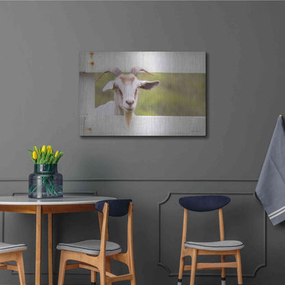 Luxe Metal Art 'Goat at Fence' by Lori Deiter, Metal Wall Art,36x24