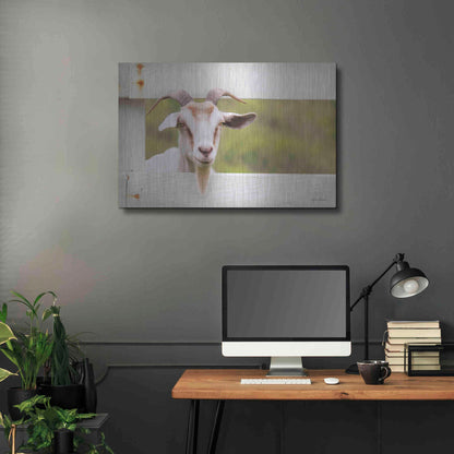 Luxe Metal Art 'Goat at Fence' by Lori Deiter, Metal Wall Art,36x24