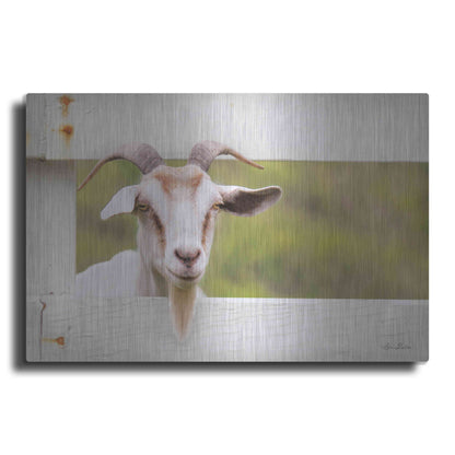 Luxe Metal Art 'Goat at Fence' by Lori Deiter, Metal Wall Art