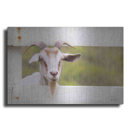Luxe Metal Art 'Goat at Fence' by Lori Deiter, Metal Wall Art