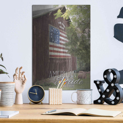 Luxe Metal Art 'American Pride' by Lori Deiter, Metal Wall Art,12x16